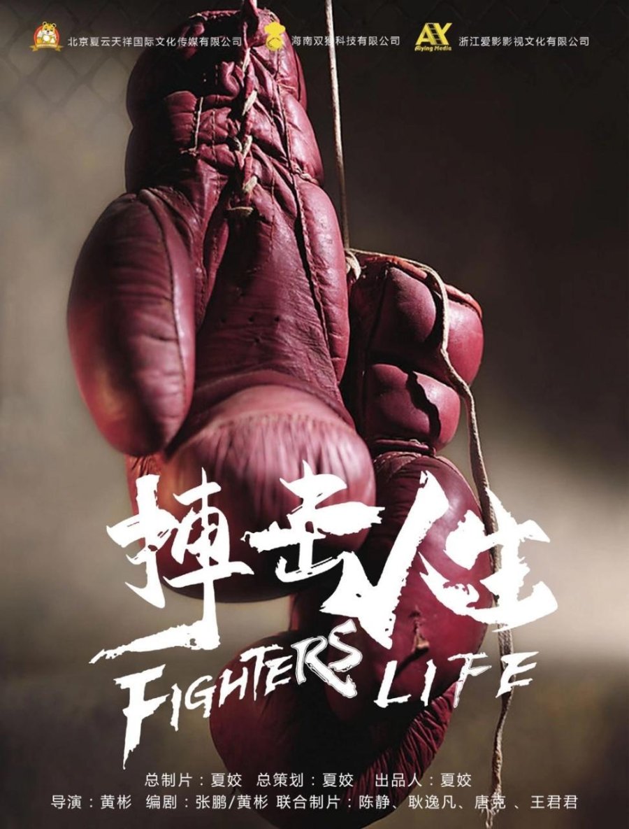 Fighter's Life
